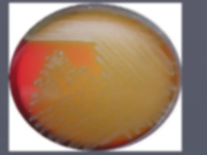 pf1a
