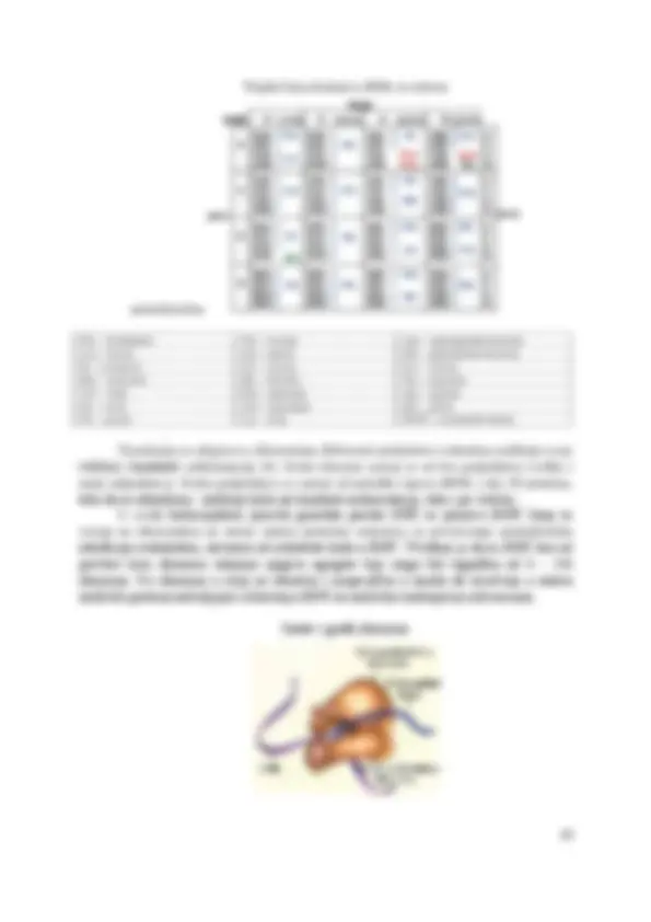 pf2e