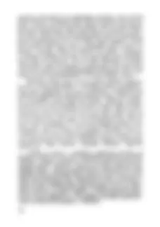 pf24