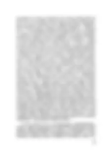 pf41