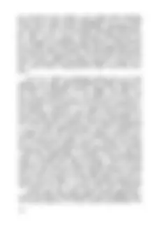 pf34