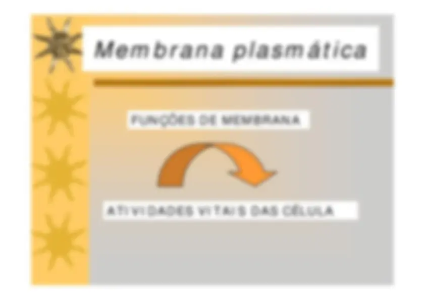 pf52