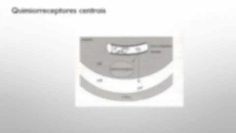 pf13