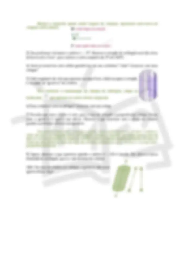 pfa