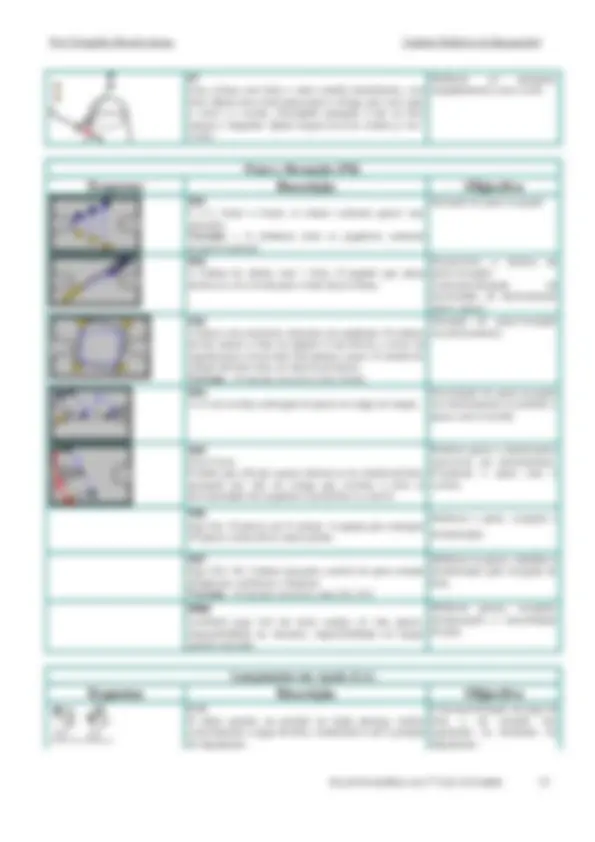pf21