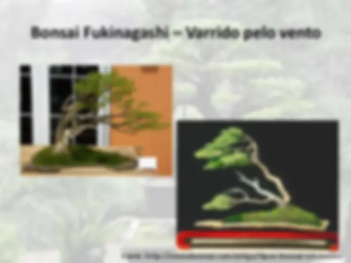 pf19
