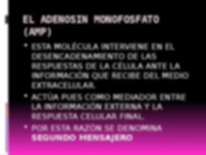 pf1b