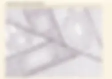 pfa