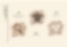 pf5