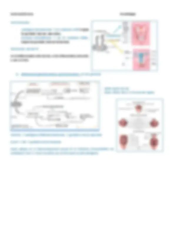 pf1a