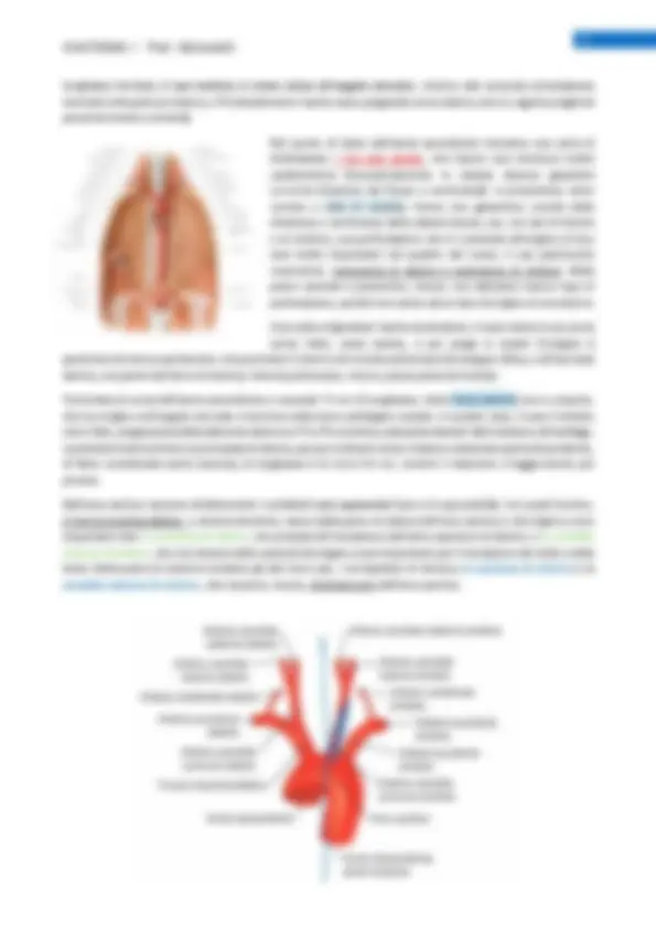 pfa