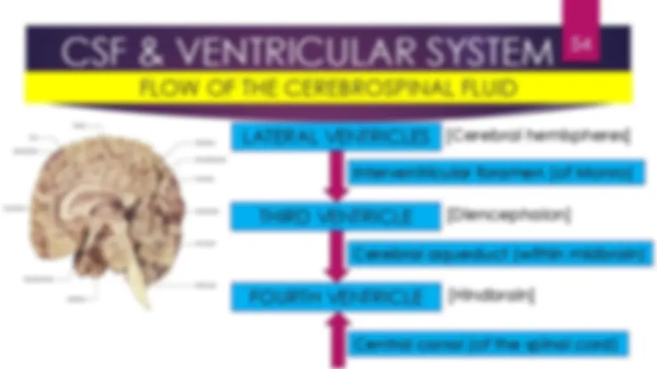 pf36