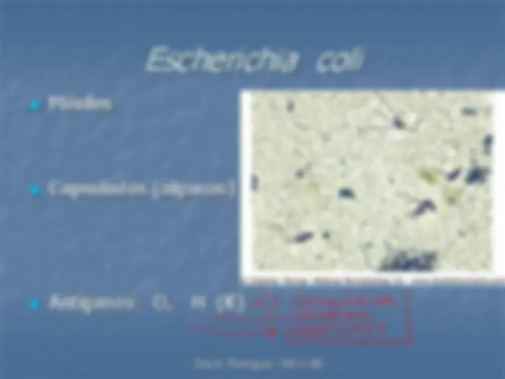 pf9