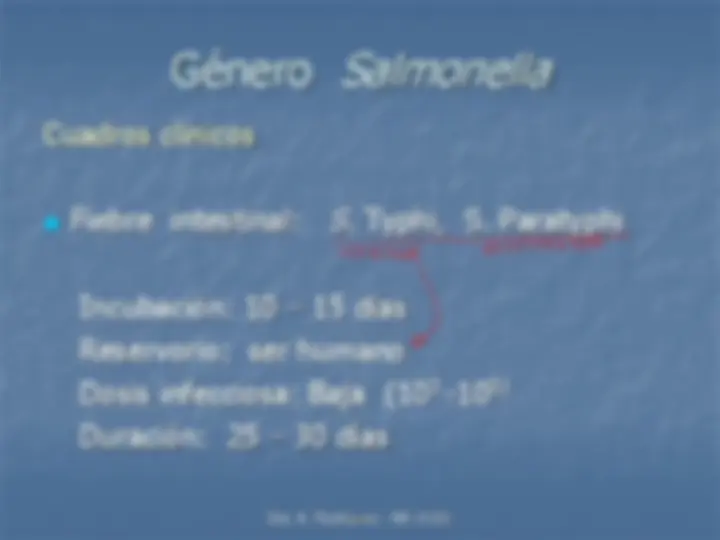 pf19