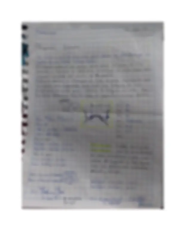 pf3