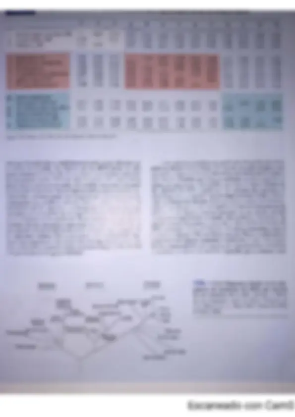 pf3