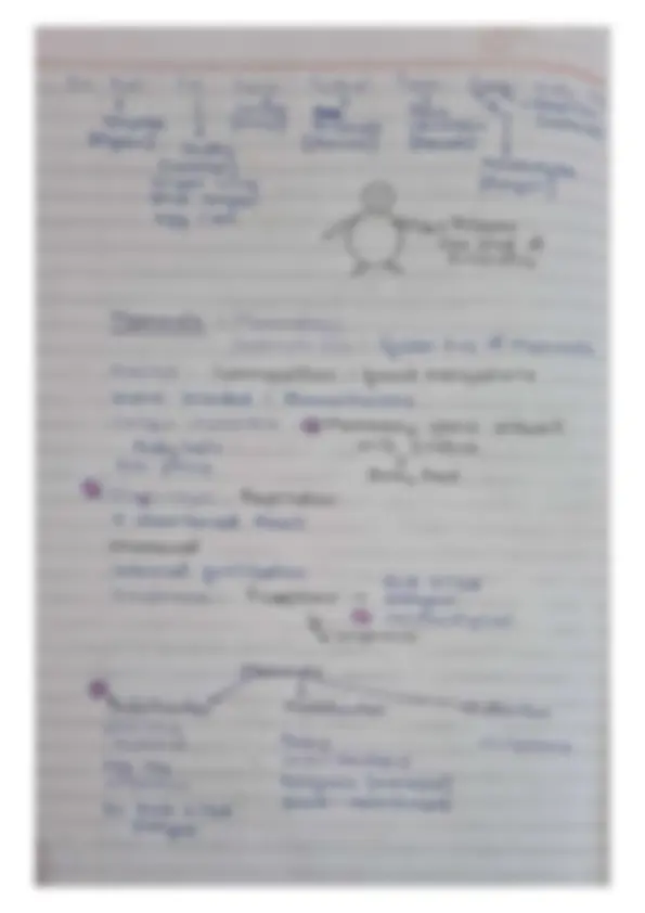 pf1b