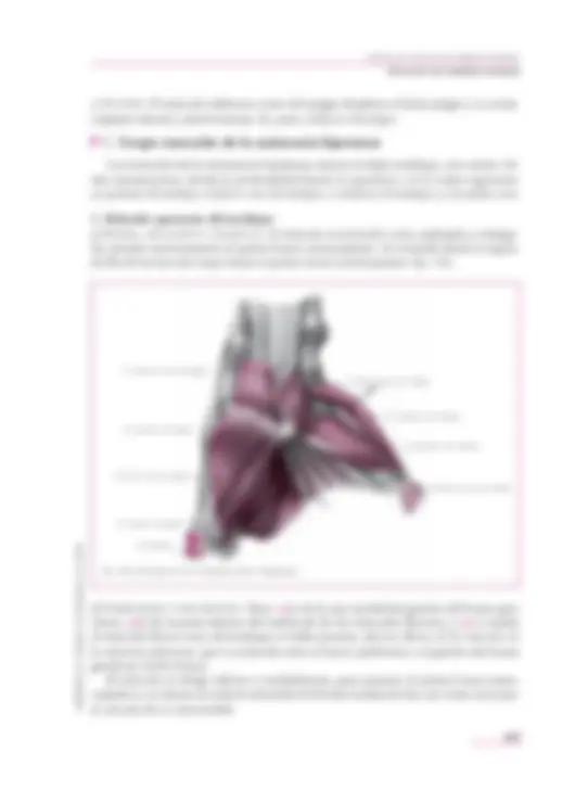 pf5c