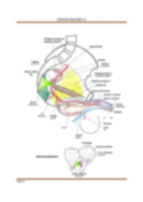 pfa