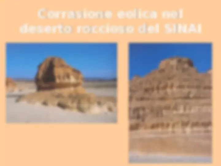 pf1d