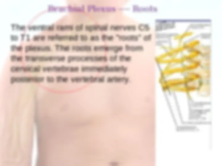 pf5