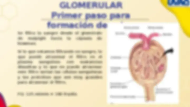 pfa