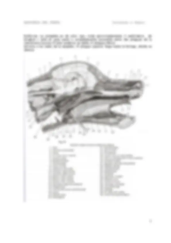 pf3a