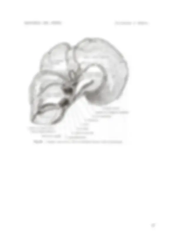 pf49