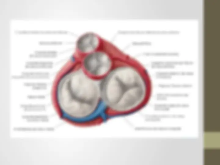 pfa