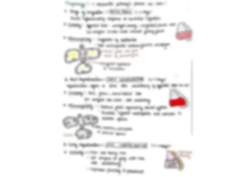 pf3