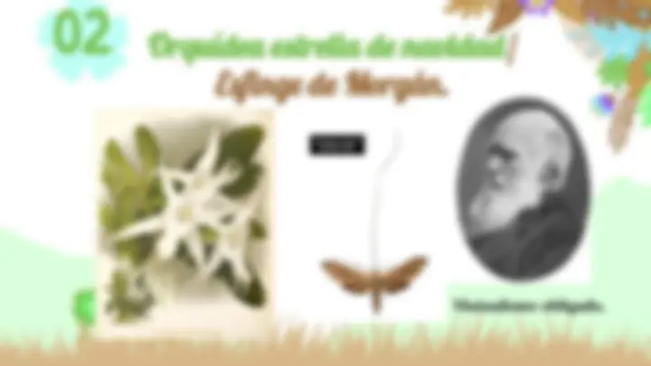 pf13