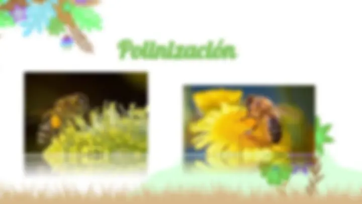 pf3