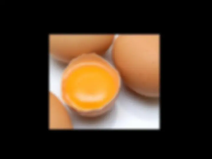 pf19