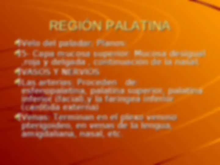 pf20