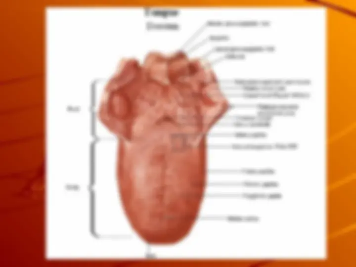 pf44