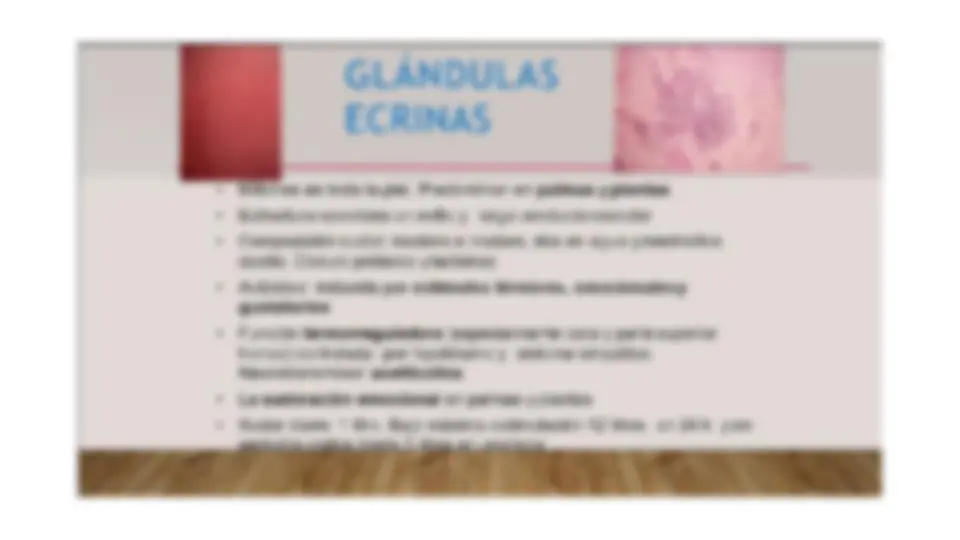 pf13