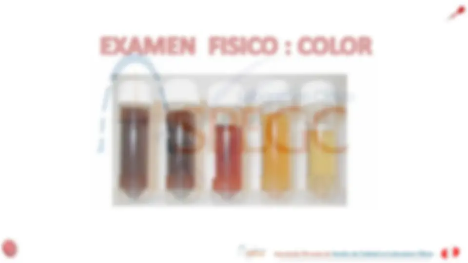 pf18