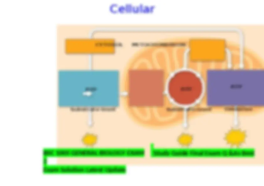 BSC 1005 GENERAL BIOLOGY EXAM 2 Study Guide Final Exam Q &As Best Exam ...