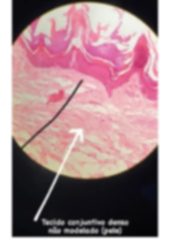 pf16