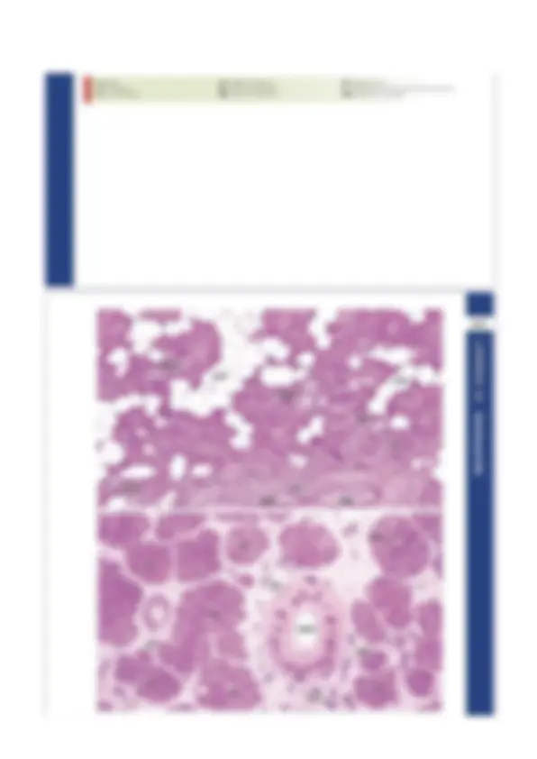 pfa