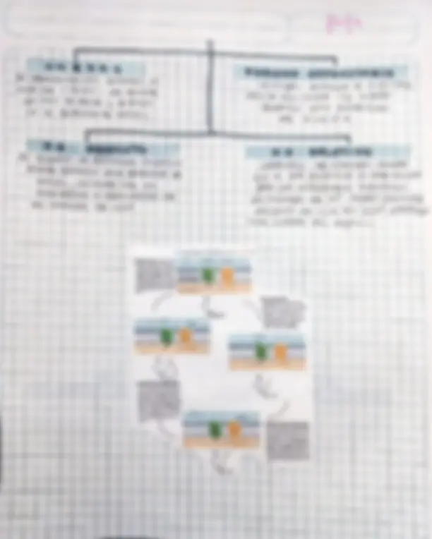 pf21