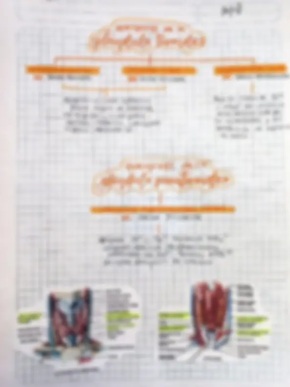 pf27