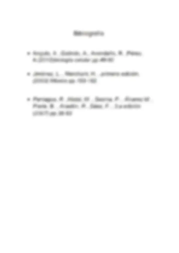 pf5