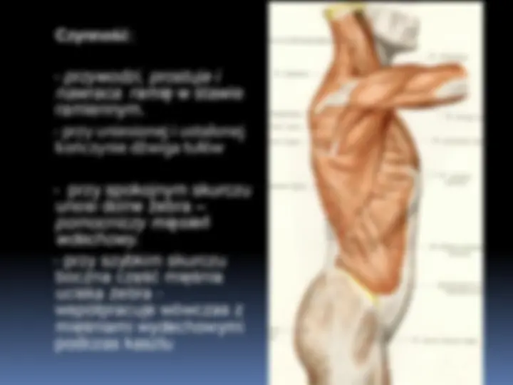 pf27