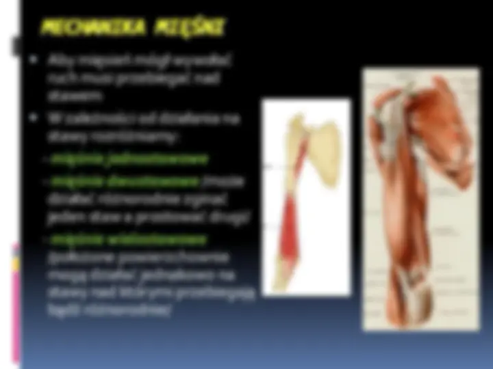 pfa
