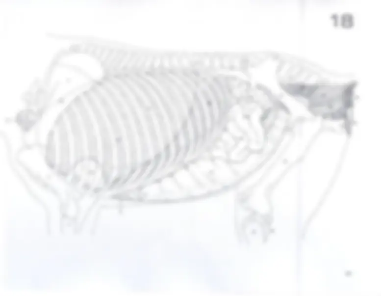 pf3b