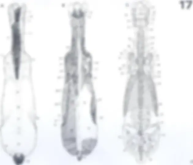 pf39