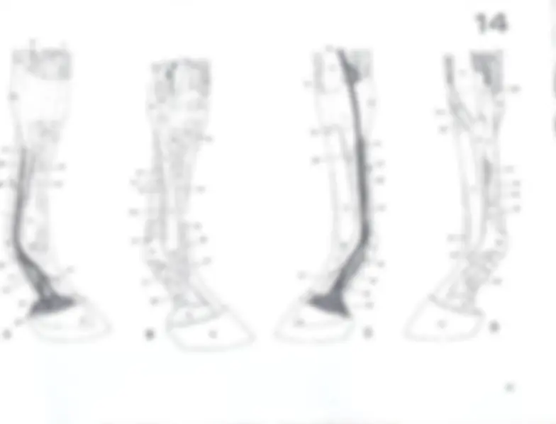 pf30