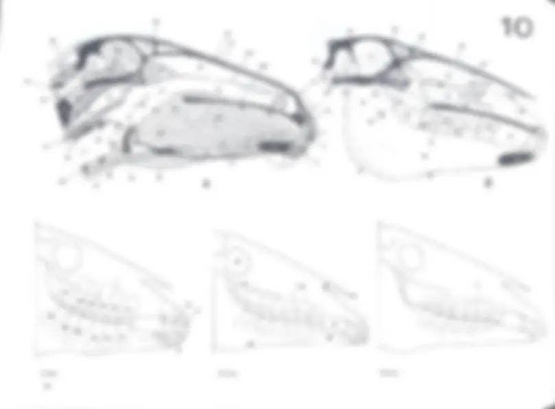 pf23