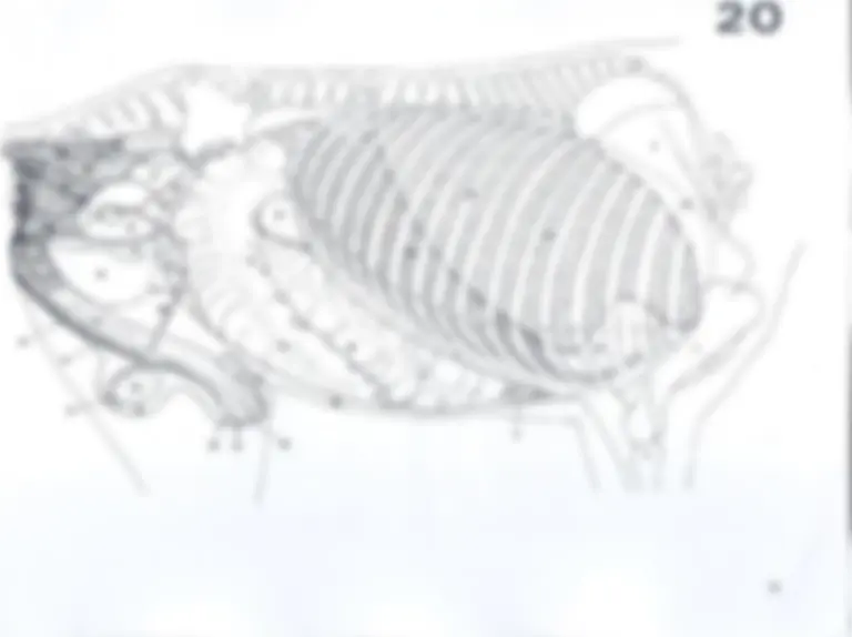 pf40